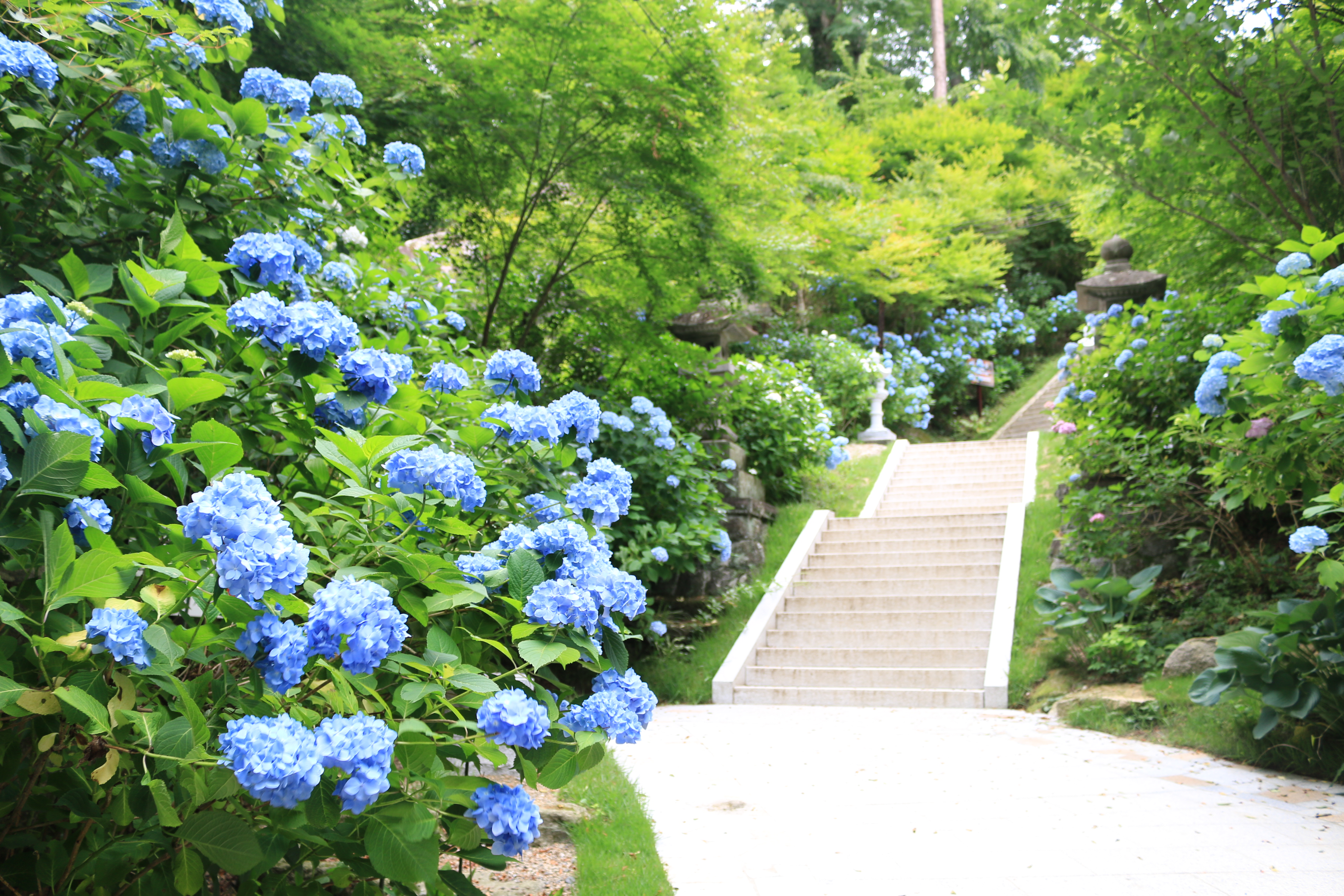 石都々古和氣神社の参道